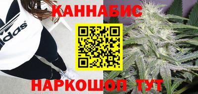 сатива Ливны
