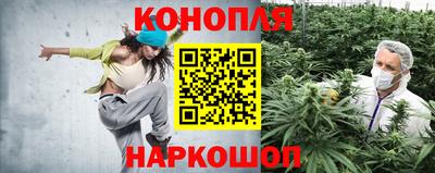 сатива Ливны