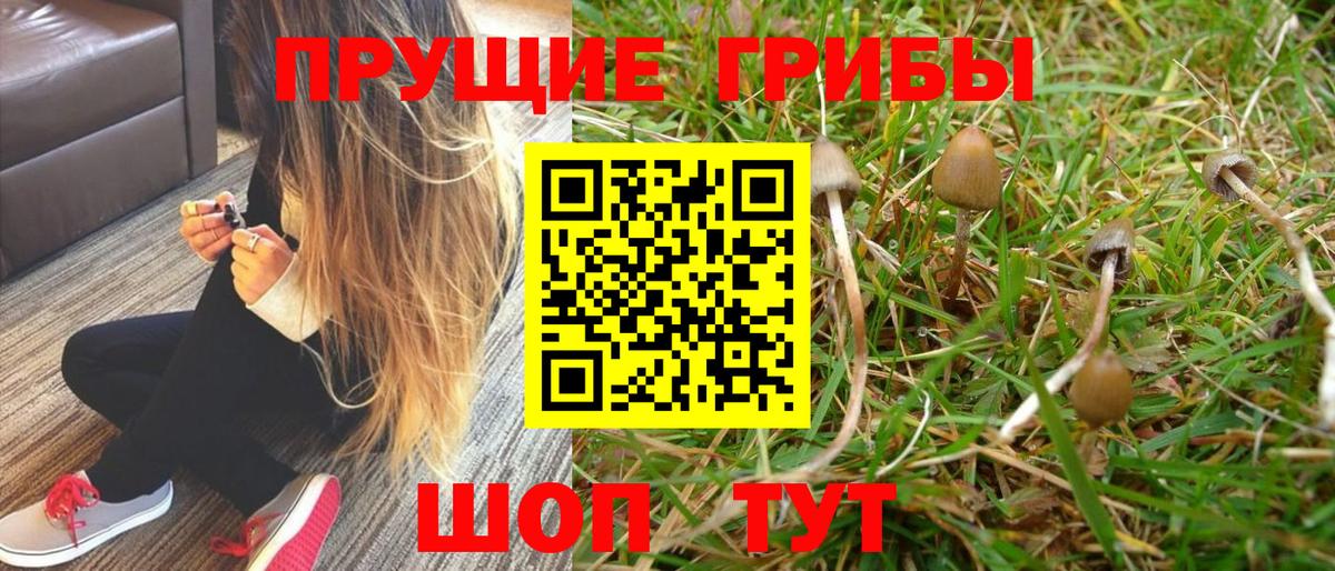 Великий Устюг  Галлюциногенные грибы Psilocybe  Псилоцибиновые грибы Cubensis  Вход с VPN 