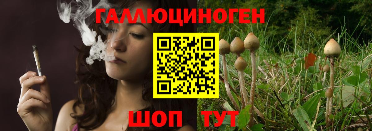 Псилоцибиновые грибы мухоморы Великий Устюг